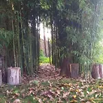 La Chiave Del Tempo Casteldilago