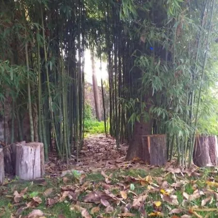 La Chiave Del Tempo Casteldilago