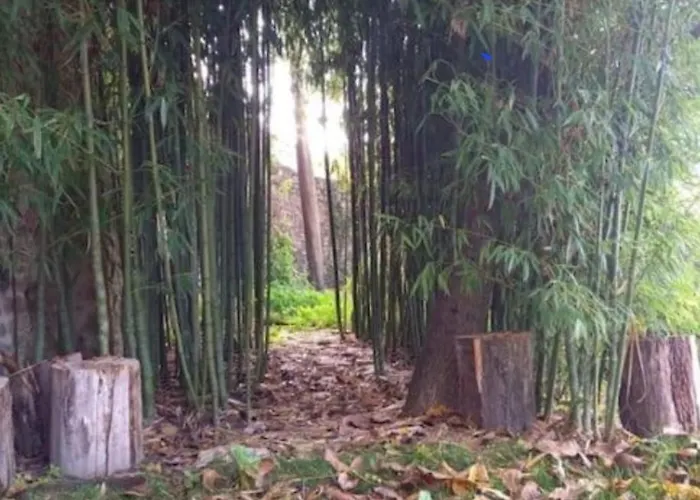 La Chiave Del Tempo Casteldilago